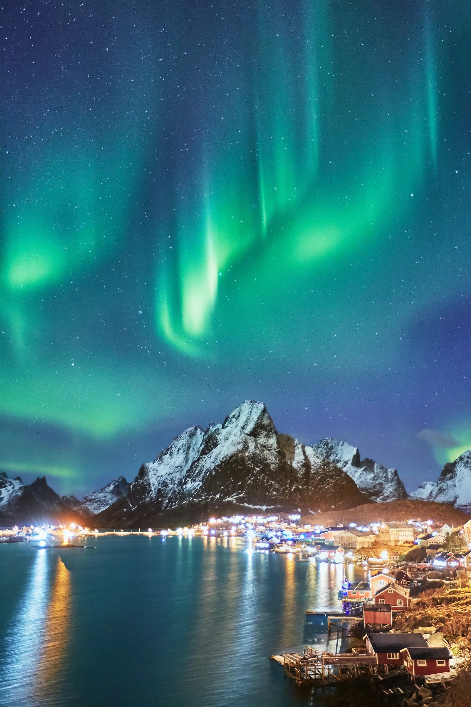 Grønt nordlys over snødekte fjell i Lofoten